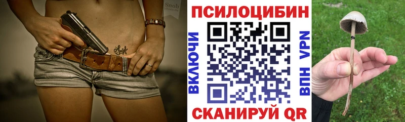 Псилоцибиновые грибы мухоморы  цена наркотик  Скопин 